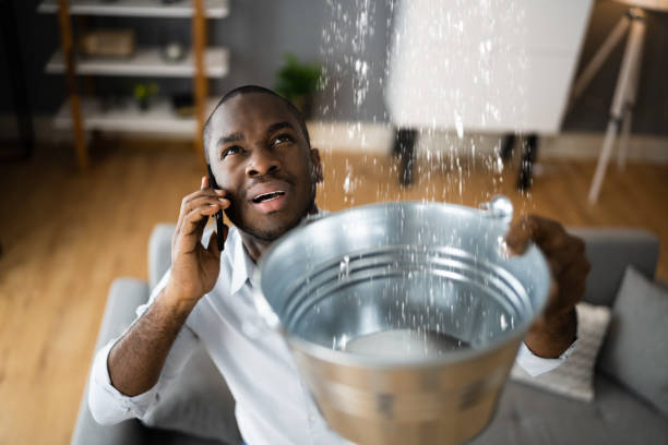 Best Water damage mitigation services  in Chuluota, FL