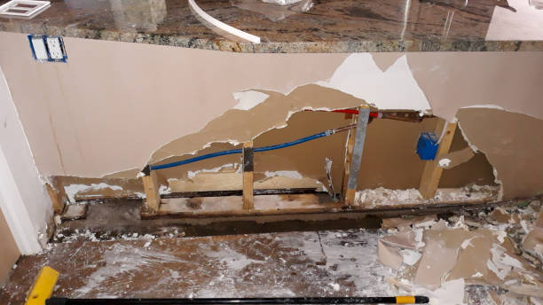  Chuluota, FL Water damage restoration Pros