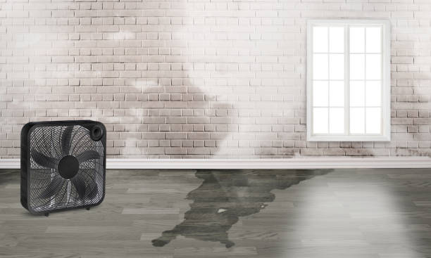 Best Ceiling water damage repair  in Chuluota, FL