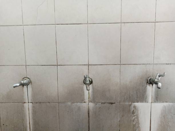 Best Flood damage cleanup  in Chuluota, FL